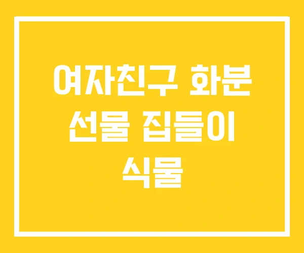 여자친구 화분 선물 집들이 식물