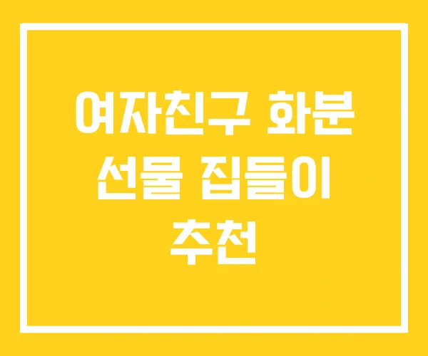 여자친구 화분 선물 집들이 추천