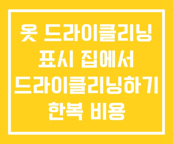 옷 드라이클리닝 표시 집에서 드라이클리닝하기 한복 비용 옷 드라이클리닝 표시 집에서 드라이클리닝하기 한복 비용