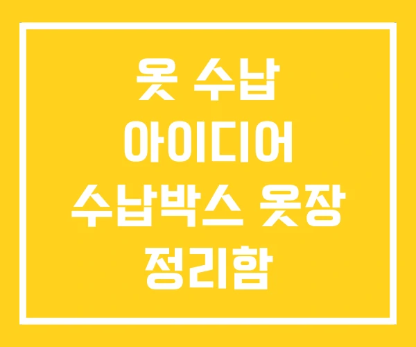 옷 수납 아이디어 수납박스 옷장 정리함