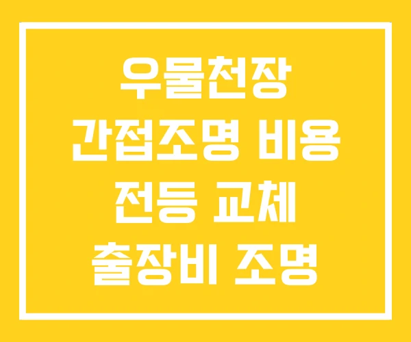 우물천장 간접조명 비용 전등 교체 출장비 조명 인테리어 우물천장 간접조명 비용 전등 교체 출장비 조명 인테리어