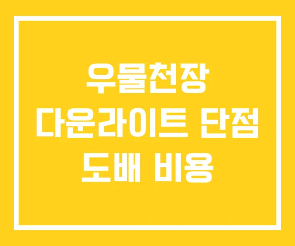 우물천장 다운라이트 단점 도배 비용 우물천장 다운라이트 단점 도배 비용