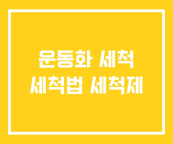 운동화 세척 세척법 세척제