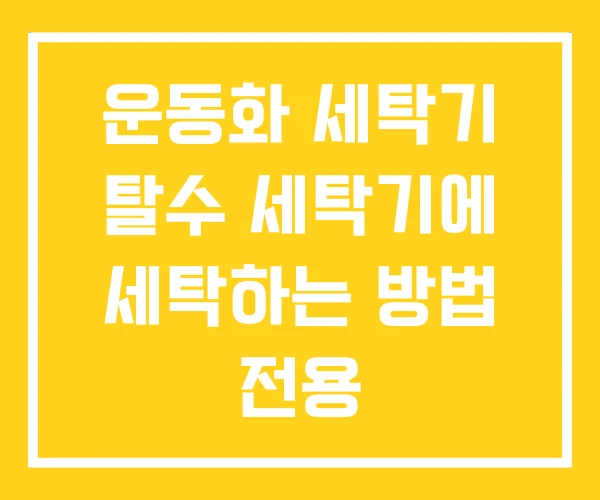 운동화 세탁기 탈수 세탁기에 세탁하는 방법 전용 운동화 세탁기 탈수 세탁기에 세탁하는 방법 전용