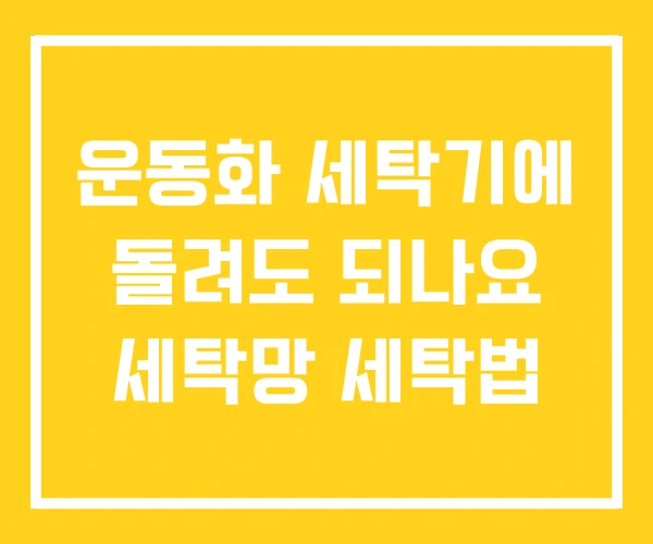운동화 세탁기에 돌려도 되나요 세탁망 세탁법 운동화 세탁기에 돌려도 되나요 세탁망 세탁법