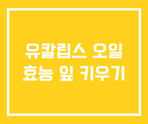 유칼립스 오일 효능 잎 키우기 유칼립스 오일 효능 잎 키우기