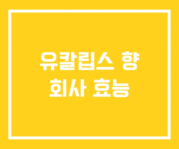 유칼립스 향 회사 효능