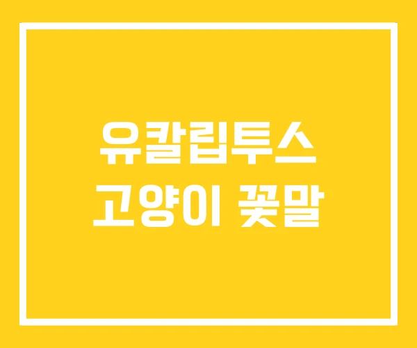 유칼립투스 고양이 꽃말 유칼립투스 고양이 꽃말