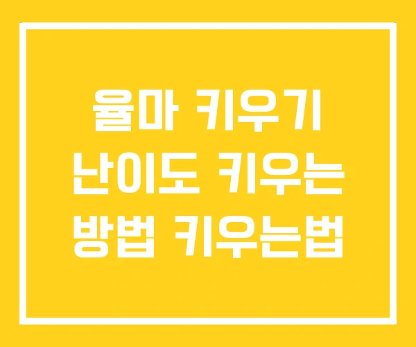 율마 키우기 난이도 키우는 방법 키우는법