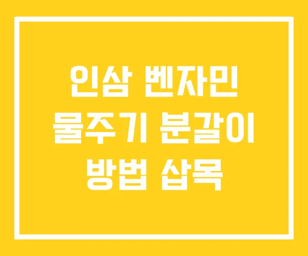 인삼 벤자민 물주기 분갈이 방법 삽목