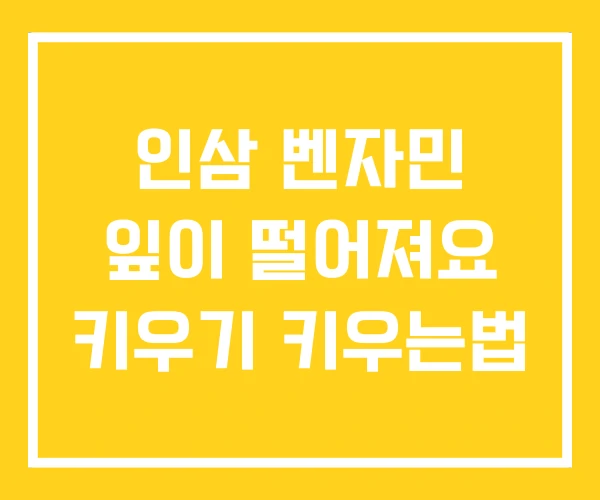 인삼 벤자민 잎이 떨어져요 키우기 키우는법