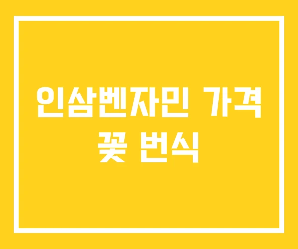 인삼벤자민 가격 꽃 번식 인삼벤자민 가격 꽃 번식
