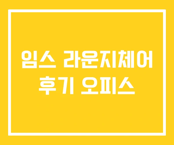 임스 라운지체어 후기 오피스