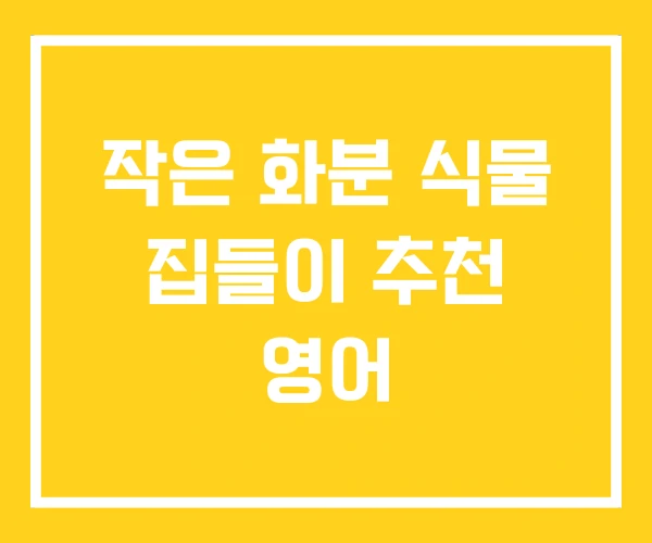 작은 화분 식물 집들이 추천 영어 작은 화분 식물 집들이 추천 영어