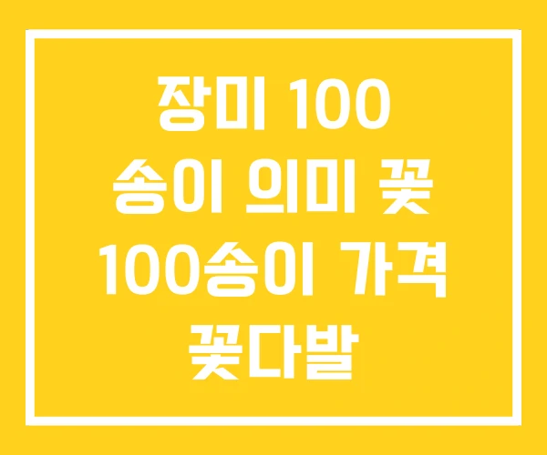 장미 100 송이 의미 꽃 100송이 가격 꽃다발 장미 100 송이 의미 꽃 100송이 가격 꽃다발