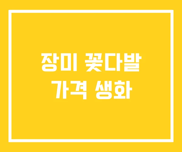 장미 꽃다발 가격 생화