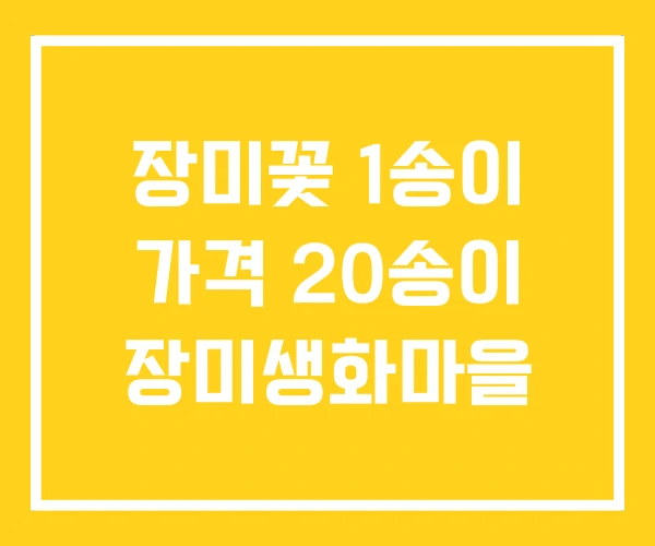 장미꽃 1송이 가격 20송이 장미생화마을