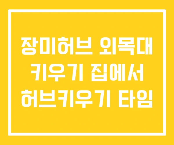 장미허브 외목대 키우기 집에서 허브키우기 타임