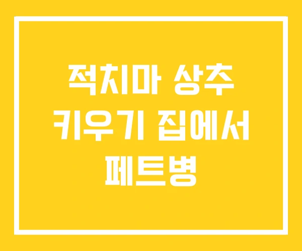 적치마 상추 키우기 집에서 페트병