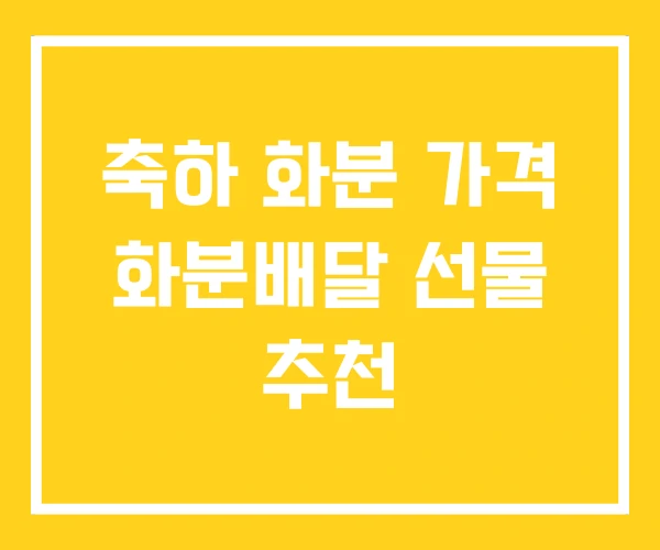 축하 화분 가격 화분배달 선물 추천 축하 화분 가격 화분배달 선물 추천