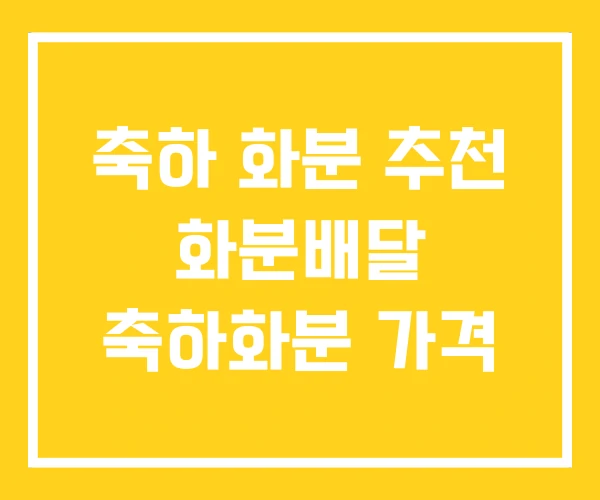 축하 화분 추천 화분배달 축하화분 가격 축하 화분 추천 화분배달 축하화분 가격